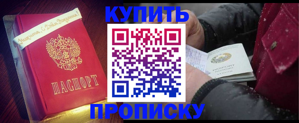 прописка гарантия в Новодвинске